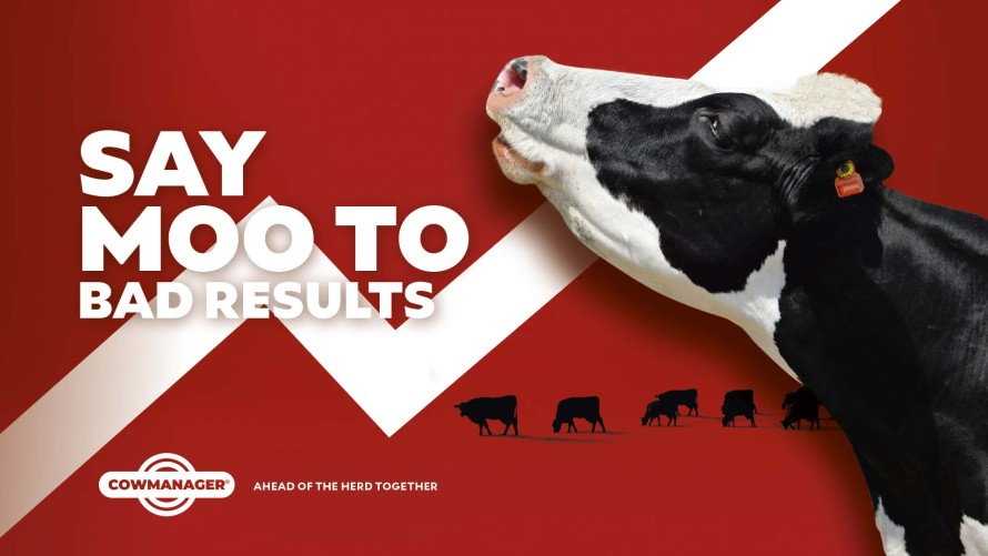 caso di studio cowmanager