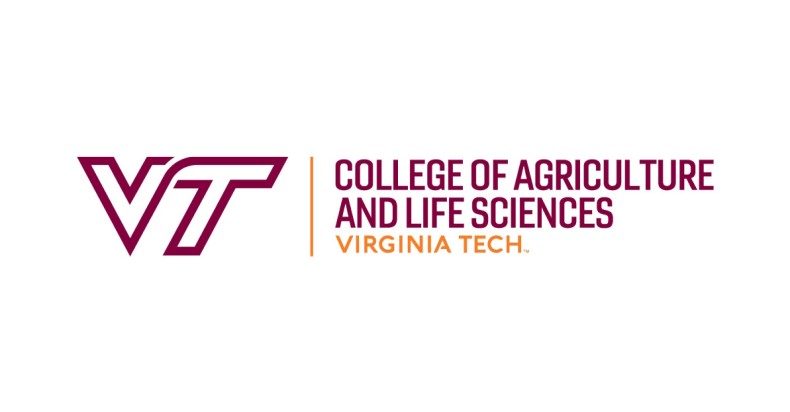 Logotipo da empresa Virginia Tech