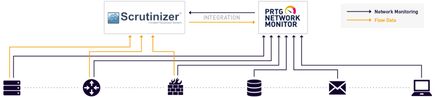 infografica Plixer