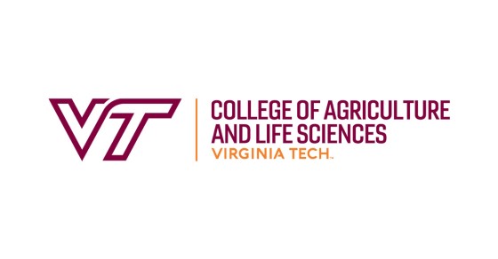 Logo Virgina Tech