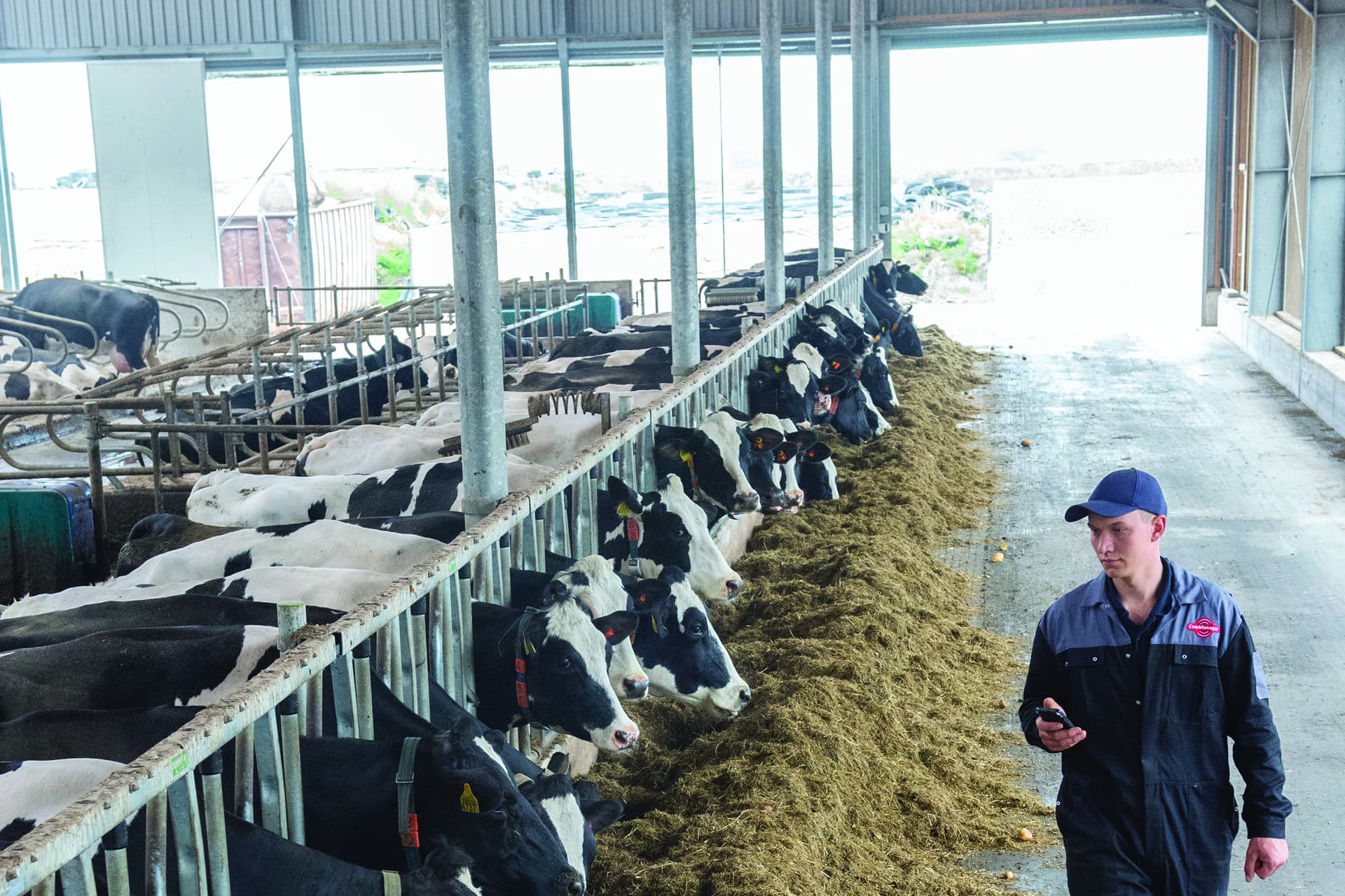 estudo de caso: CowManager, estábulo