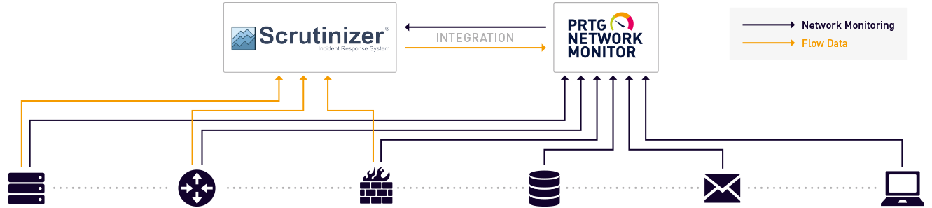 infografica Plixer